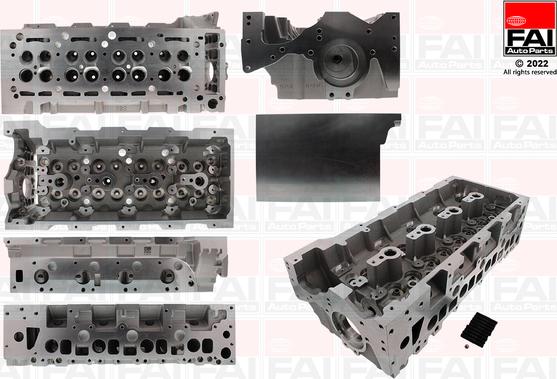 FAI AutoParts BCH124 - Glava cilindra www.molydon.hr