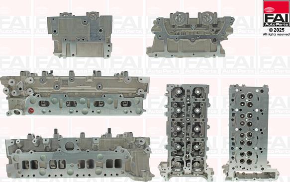 FAI AutoParts BCH318 - Glava cilindra www.molydon.hr