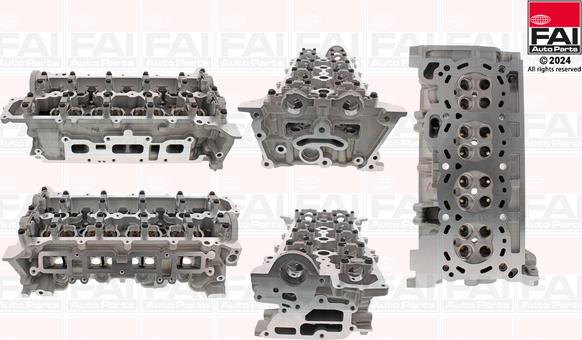 FAI AutoParts BCH257 - Glava cilindra www.molydon.hr