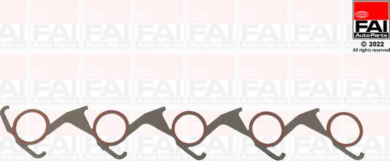 FAI AutoParts IM495 - Garnitura brtvi, usisna grana www.molydon.hr