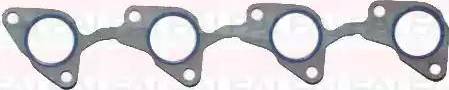 FAI AutoParts IM493 - Brtva, usisna grana www.molydon.hr