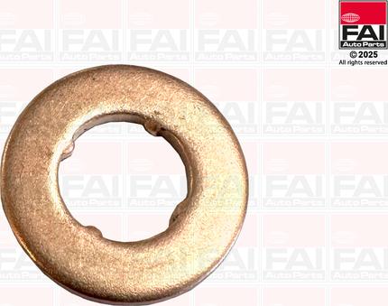 FAI AutoParts IS007 - Garnitura brtvi, brizgaljka za ubrizgavanje www.molydon.hr