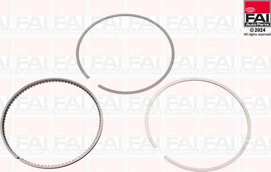 FAI AutoParts PR299-050 - Komplet klipnih prstenova www.molydon.hr