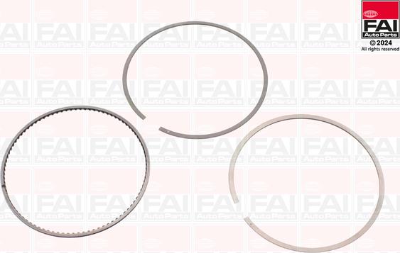FAI AutoParts PR299-000 - Komplet klipnih prstenova www.molydon.hr