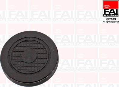 FAI AutoParts RMG880C - Čep, osovina klackalice ventila-otvor za montažu www.molydon.hr