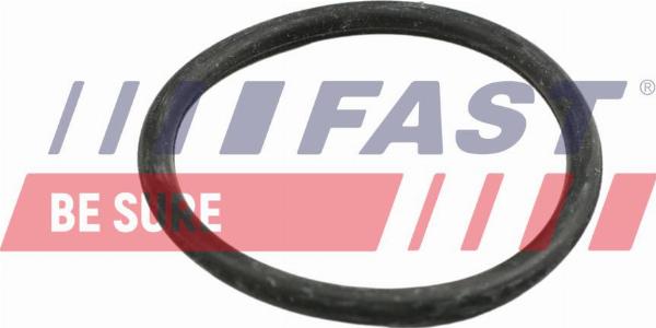 Fast FT49918 - Brtva, Crijevo rashladne tekućinu www.molydon.hr