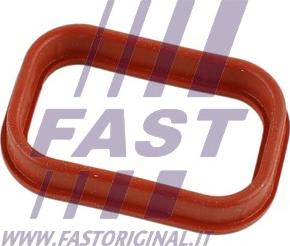 Fast FT49435 - Brtva, usisna grana www.molydon.hr