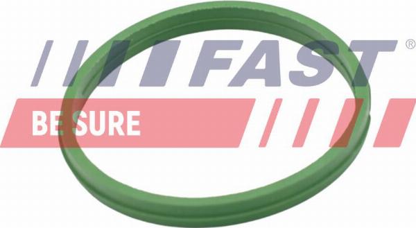 Fast FT49855 - Brtva čepa za ispuštanje ulja www.molydon.hr
