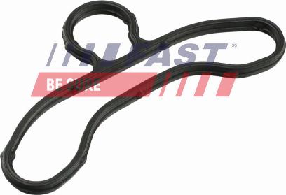 Fast FT41604 - Brtva www.molydon.hr