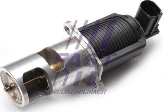 Fast FT60213 - EGR ventil www.molydon.hr
