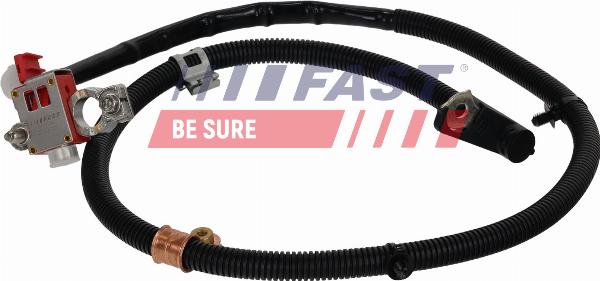 Fast FT01798 - Adapter akumulatora www.molydon.hr