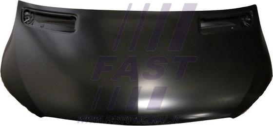 Fast FT89005 - Hauba motora www.molydon.hr