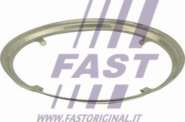 Fast FT84817 - Brtva, Ispušna Cijev www.molydon.hr