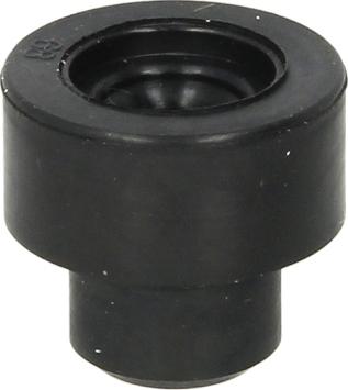 FEBI Bilstein 06251 - Držač, ventil za ubrizgavanje www.molydon.hr