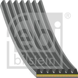 FEBI Bilstein 184933 - Klinasti rebrasti remen  www.molydon.hr