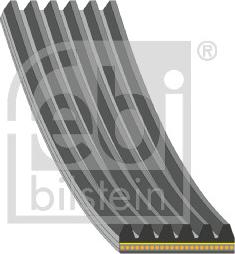 FEBI Bilstein 180922 - Klinasti rebrasti remen  www.molydon.hr