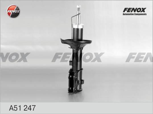 Fenox A51247 - Amortizer www.molydon.hr