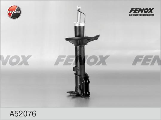 Fenox A52076 - Amortizer www.molydon.hr