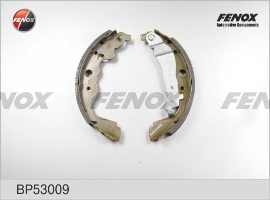 Fenox BP53009 - Komplet kočnica, bubanj kočnice www.molydon.hr