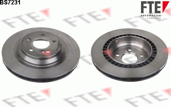 FTE 9071115 - Kočioni disk www.molydon.hr