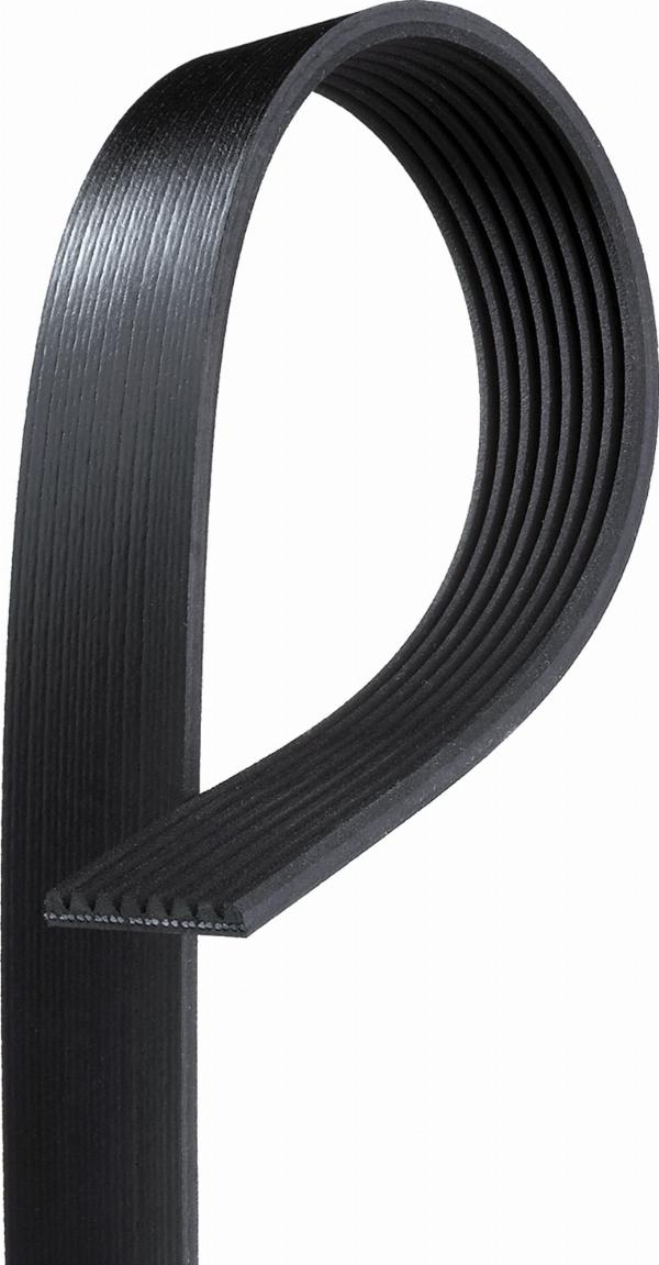 GATES 8PK2465 - Klinasti rebrasti remen  www.molydon.hr