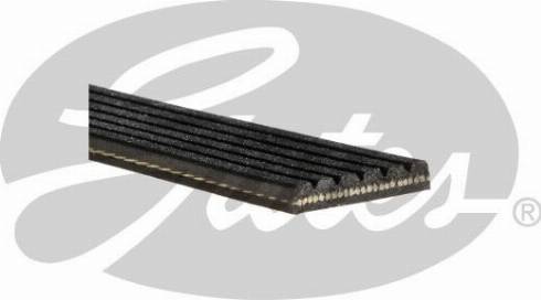 GATES 6PK1353RPM - Klinasti rebrasti remen  www.molydon.hr