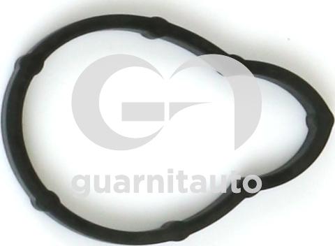 Guarnitauto 183784-8000 - Brtva, usisna grana www.molydon.hr