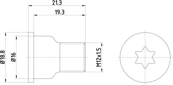 HELLA PAGID 8DZ 355 209-051 - Vijak, kočioni disk www.molydon.hr