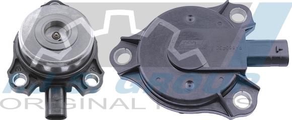 IJS GROUP 80-1093 - Centralni magnet, podešavanje bregastog vratila www.molydon.hr