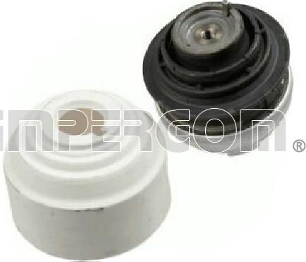 IMPERGOM 38830 - Nosač motora www.molydon.hr