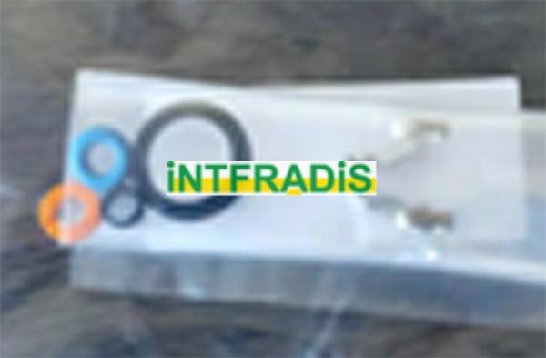 INTFRADIS 24010 - Garnitura brtvi, brizgaljka za ubrizgavanje www.molydon.hr