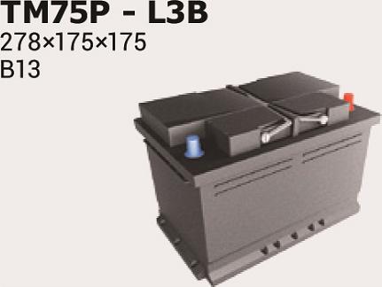 IPSA TM75P - Akumulator  www.molydon.hr