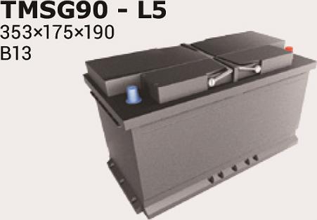 IPSA TMSG90 - Akumulator  www.molydon.hr