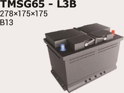 IPSA TMSG65 - Akumulator  www.molydon.hr