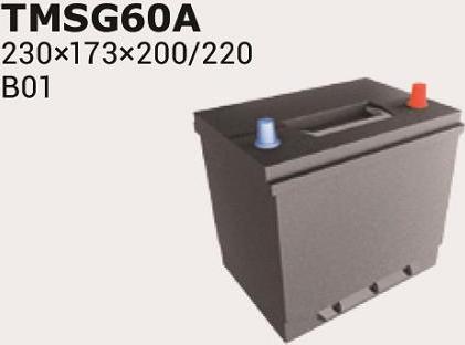 IPSA TMSG60A - Akumulator  www.molydon.hr