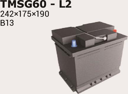 IPSA TMSG60 - Akumulator  www.molydon.hr