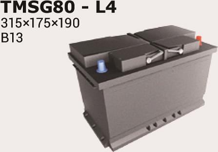 IPSA TMSG80 - Akumulator  www.molydon.hr