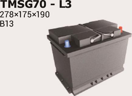 IPSA TMSG70 - Akumulator  www.molydon.hr