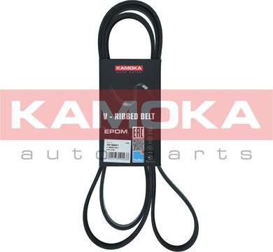 Kamoka 7016201 - Klinasti rebrasti remen  www.molydon.hr