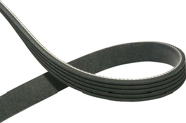 Kavo Parts DMV-5505 - Klinasti rebrasti remen  www.molydon.hr