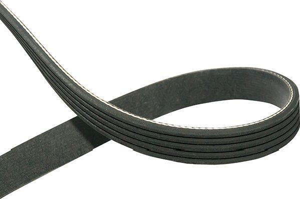 Kavo Parts DMV-5545 - Klinasti rebrasti remen  www.molydon.hr