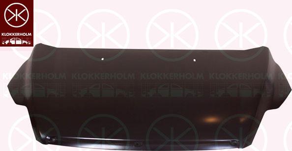 Klokkerholm 2533281A1 - Hauba motora www.molydon.hr