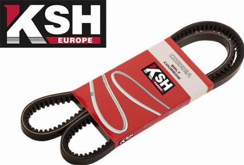 KSH EUROPE 13KSM975 - Klinasti remen www.molydon.hr