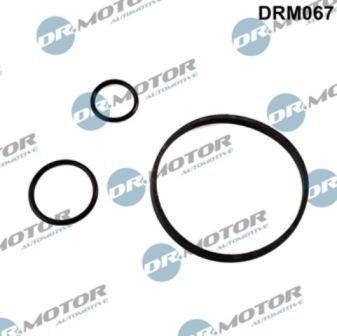 Lizarte DRM067 - Garnitura brtvi, uljni hladnjak www.molydon.hr