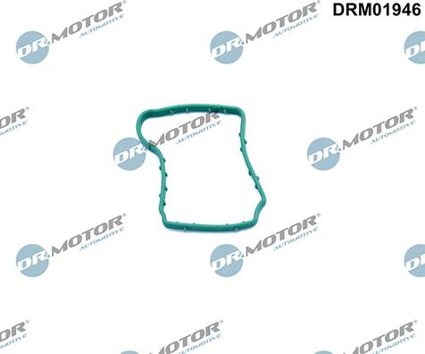 Lizarte DRM01946 - Brtva, odusak bloka motora www.molydon.hr