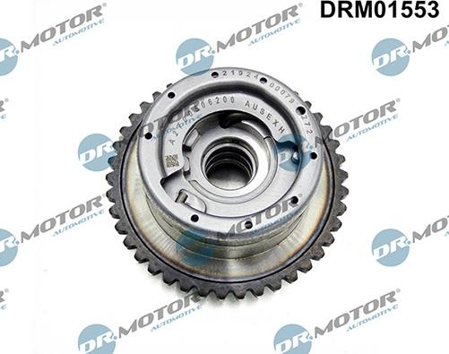 Lizarte DRM01553 - Podešavanje bregastog vratila www.molydon.hr