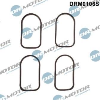 Lizarte DRM0106S - Garnitura brtvi, usisna grana www.molydon.hr