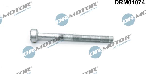 Lizarte DRM01074 - Vijak, Držač injektori za ubrizgavanje www.molydon.hr