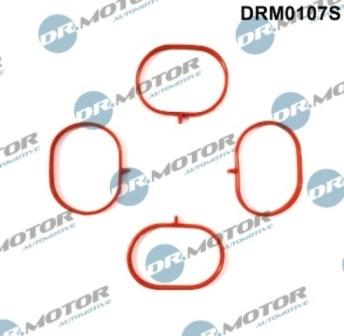 Lizarte DRM0107S - Garnitura brtvi, usisna grana www.molydon.hr