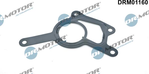 Lizarte DRM01160 - Brtva, vakuum-pumpa www.molydon.hr